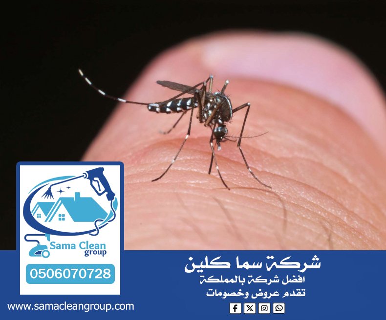 شركة مكافحة الناموس بجدة 5 شركة مكافحة الناموس بجدة