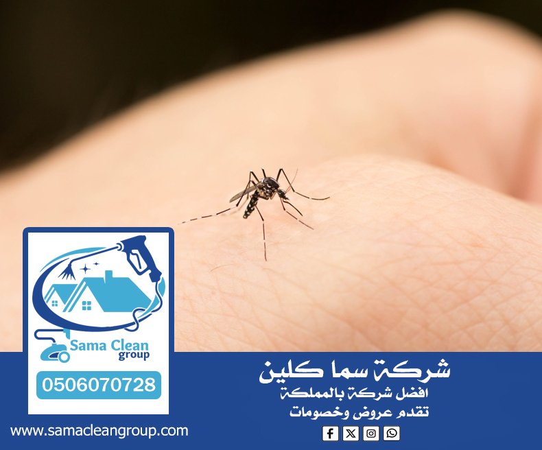 شركة مكافحة الناموس بمكة 5 شركة مكافحة الناموس بمكة