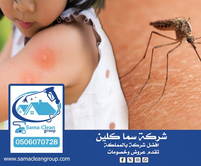 شركة مكافحة الناموس بمكة 4 شركة مكافحة الناموس بمكة