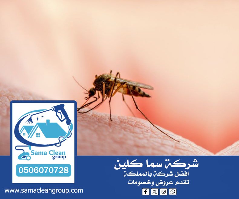 شركة مكافحة الناموس بمكة 2 شركة مكافحة الناموس بمكة